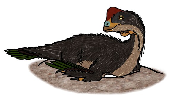 nesting Oviraptor