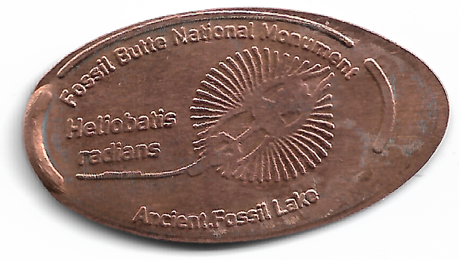 official fossil butte squashed penny