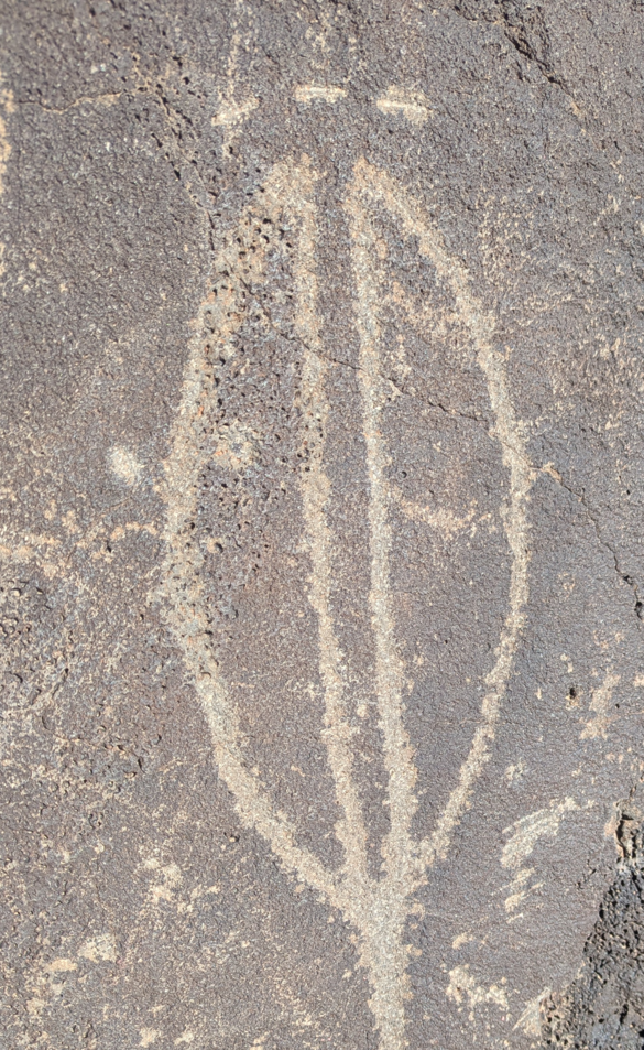 Petroglyph National Monument