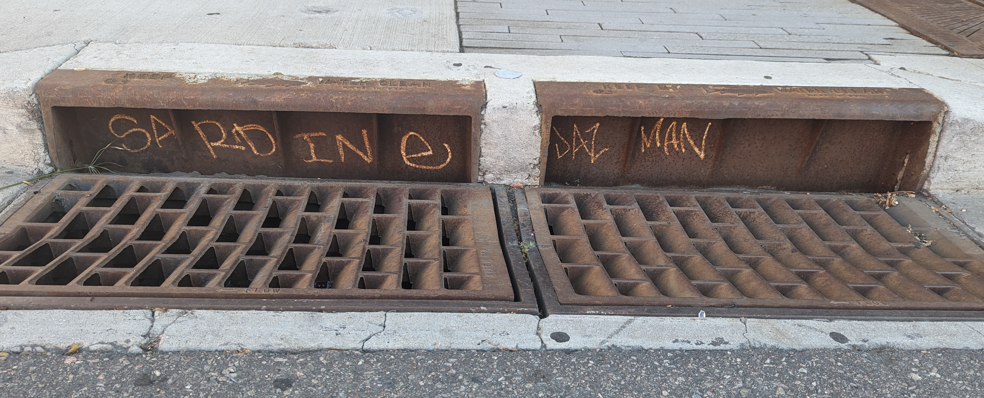 graffiti in a storm drain that says &ldquo;SARDINE JAZMAN&rdquo;