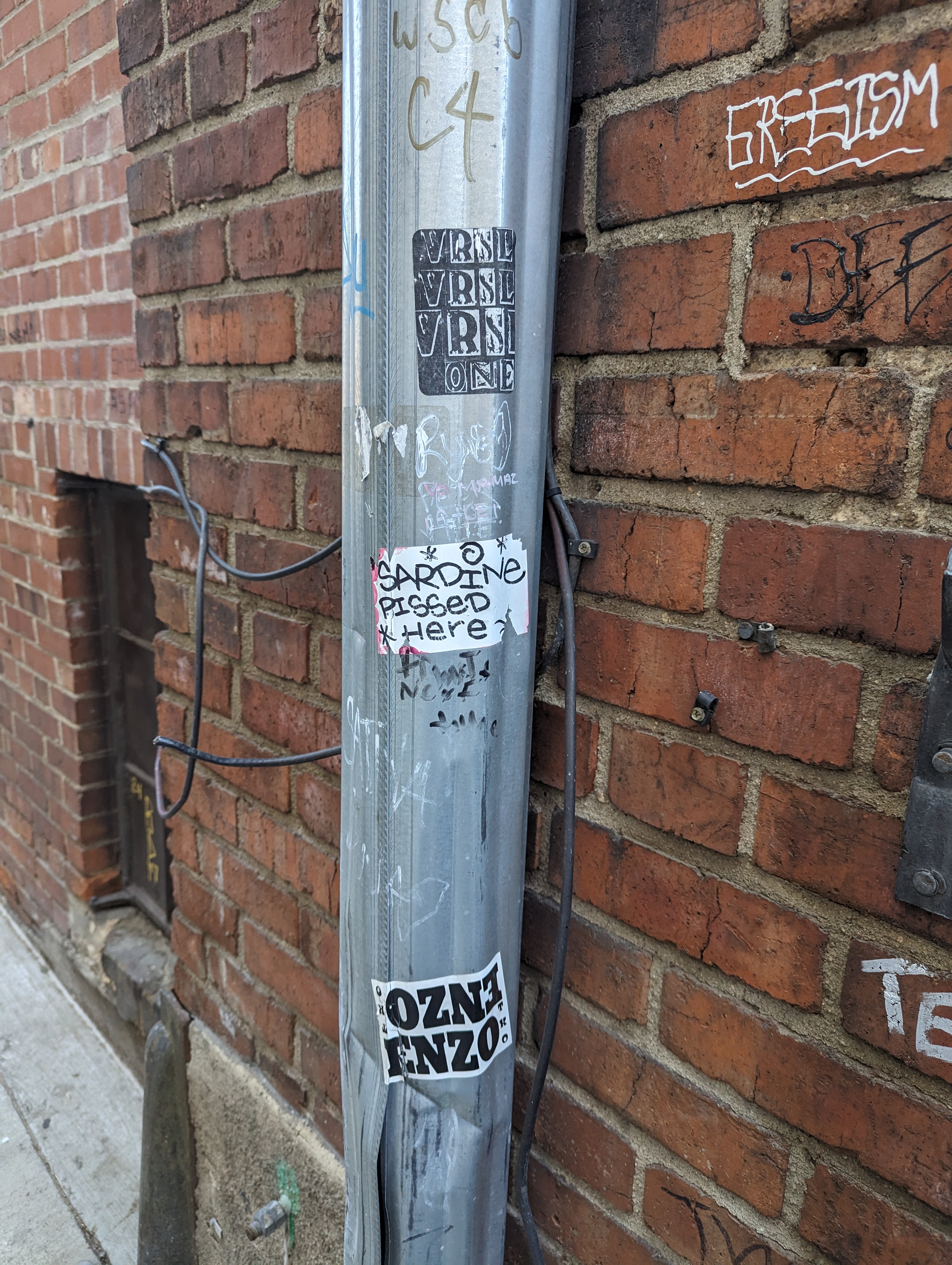 graffiti on a down pipe that says &ldquo;SARDINE PISSED HERE&rdquo;